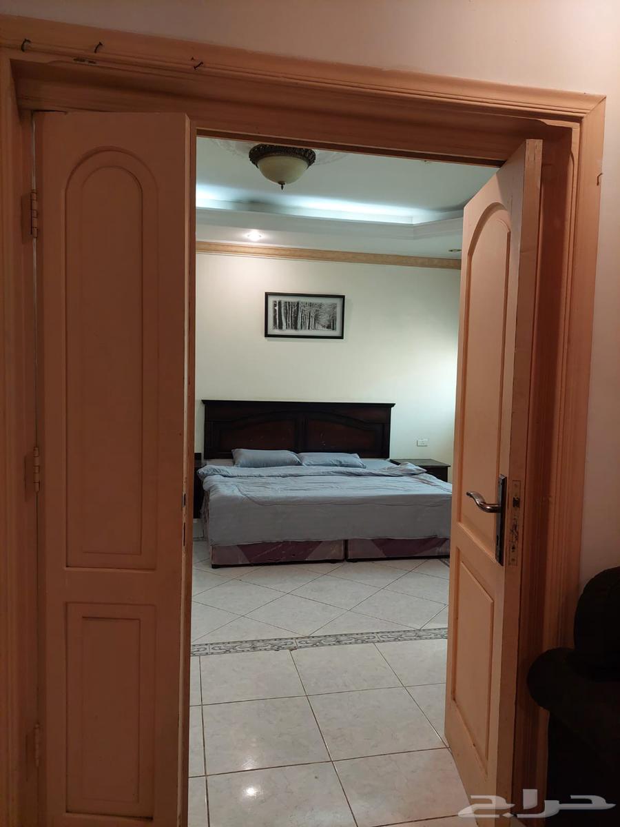 شقة للإيجار