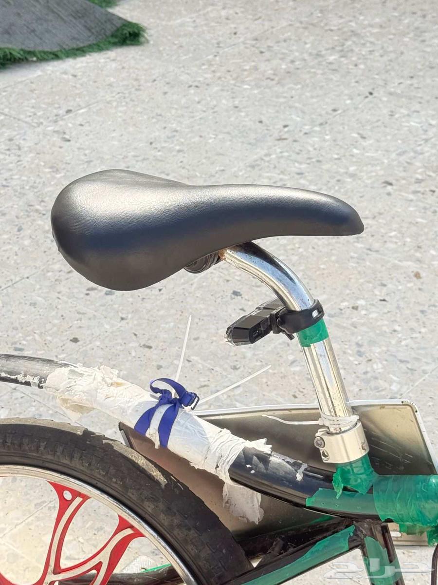 Hello and God's mercy and blessings Cobra 2025 newww64468273776002110