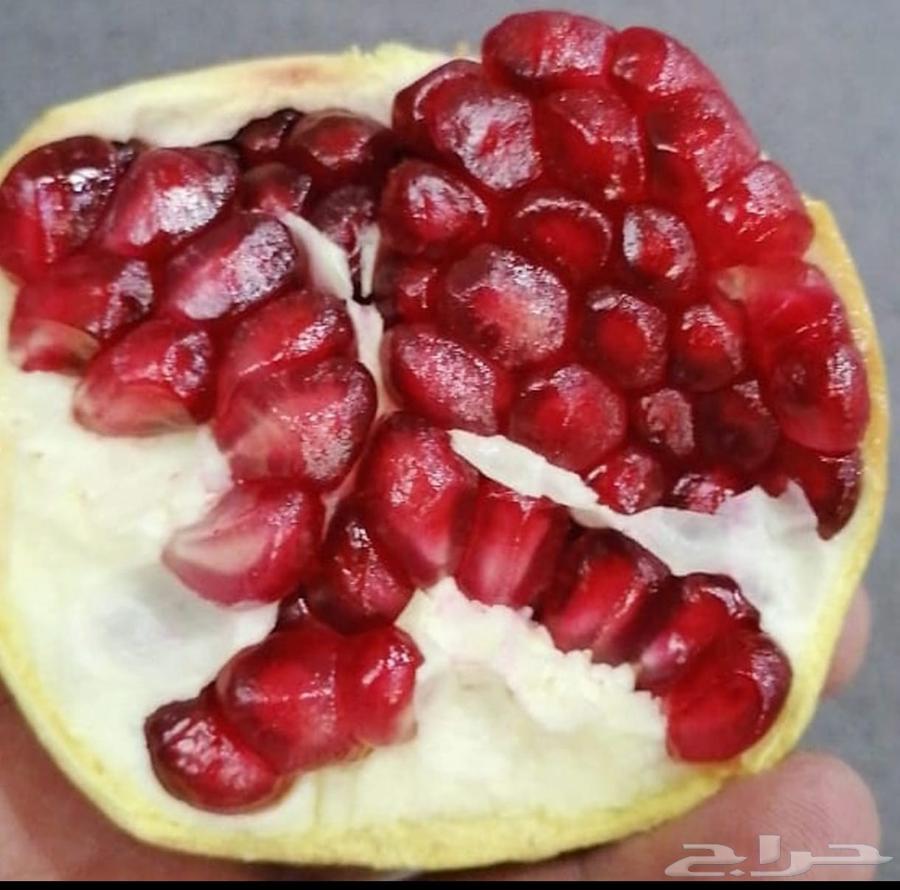 رمان الباحة الان بالرياض. الرمان درجة أولى64468966905859110