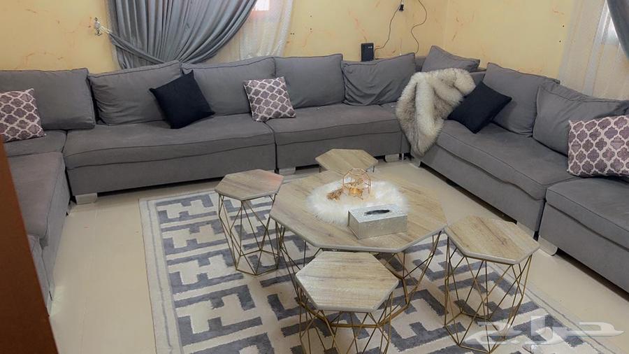 كنب كبير للبيع اخو الجديد64466334195587113