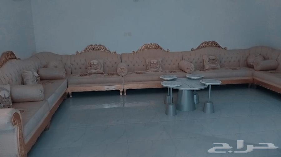 Sofa64466291650433113