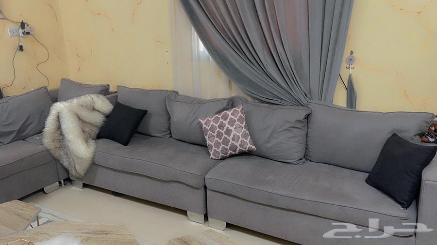 كنب كبير للبيع اخو الجديد64466334195587111