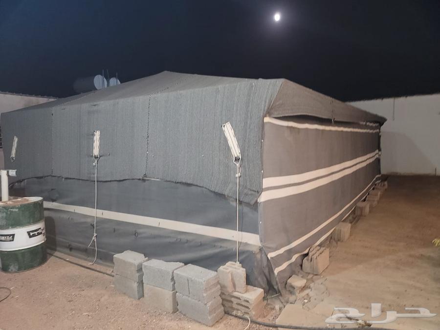 بيت شعر 9 5 نظيف خالي من الشقوق سدو64460611754498111