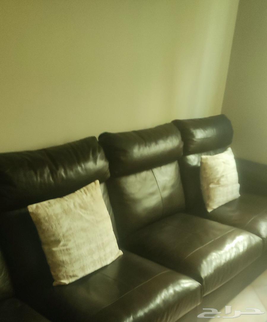 كتب جلد اسود64466165038211110