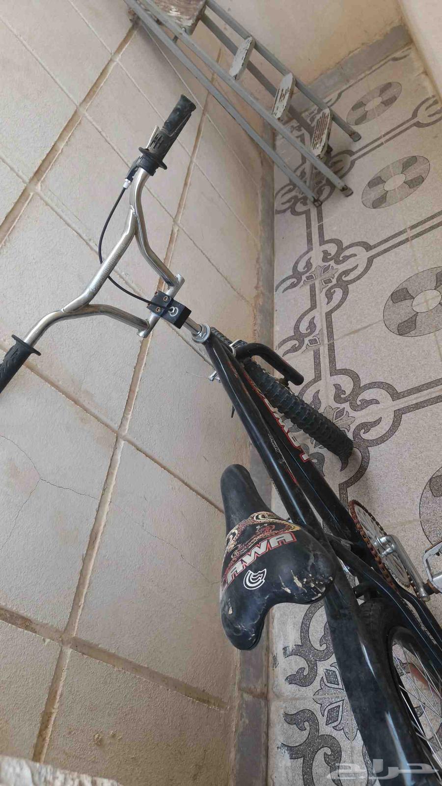 سيكل كوبرا للبيع64465772945411113