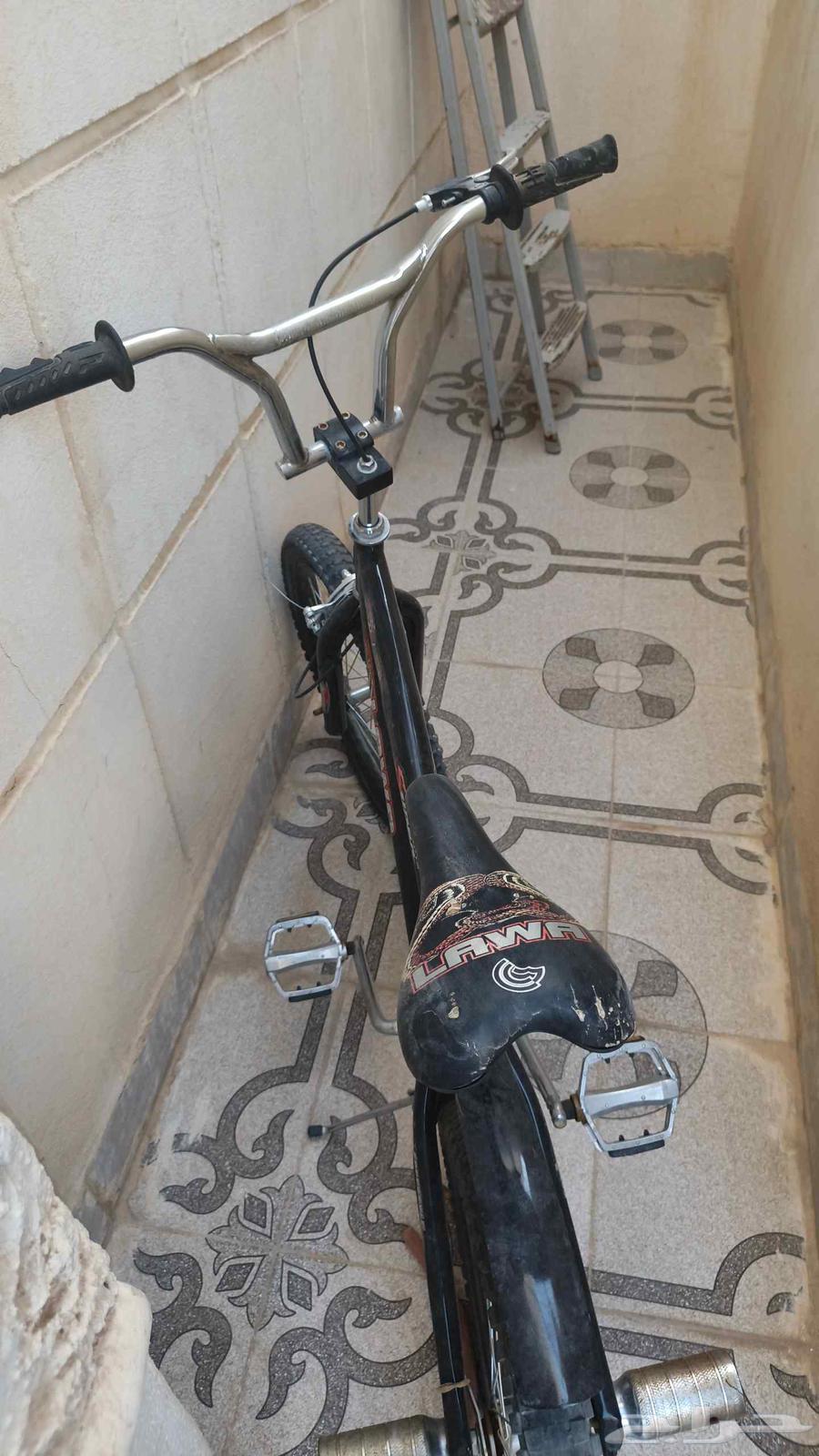 سيكل كوبرا للبيع64465772945411110