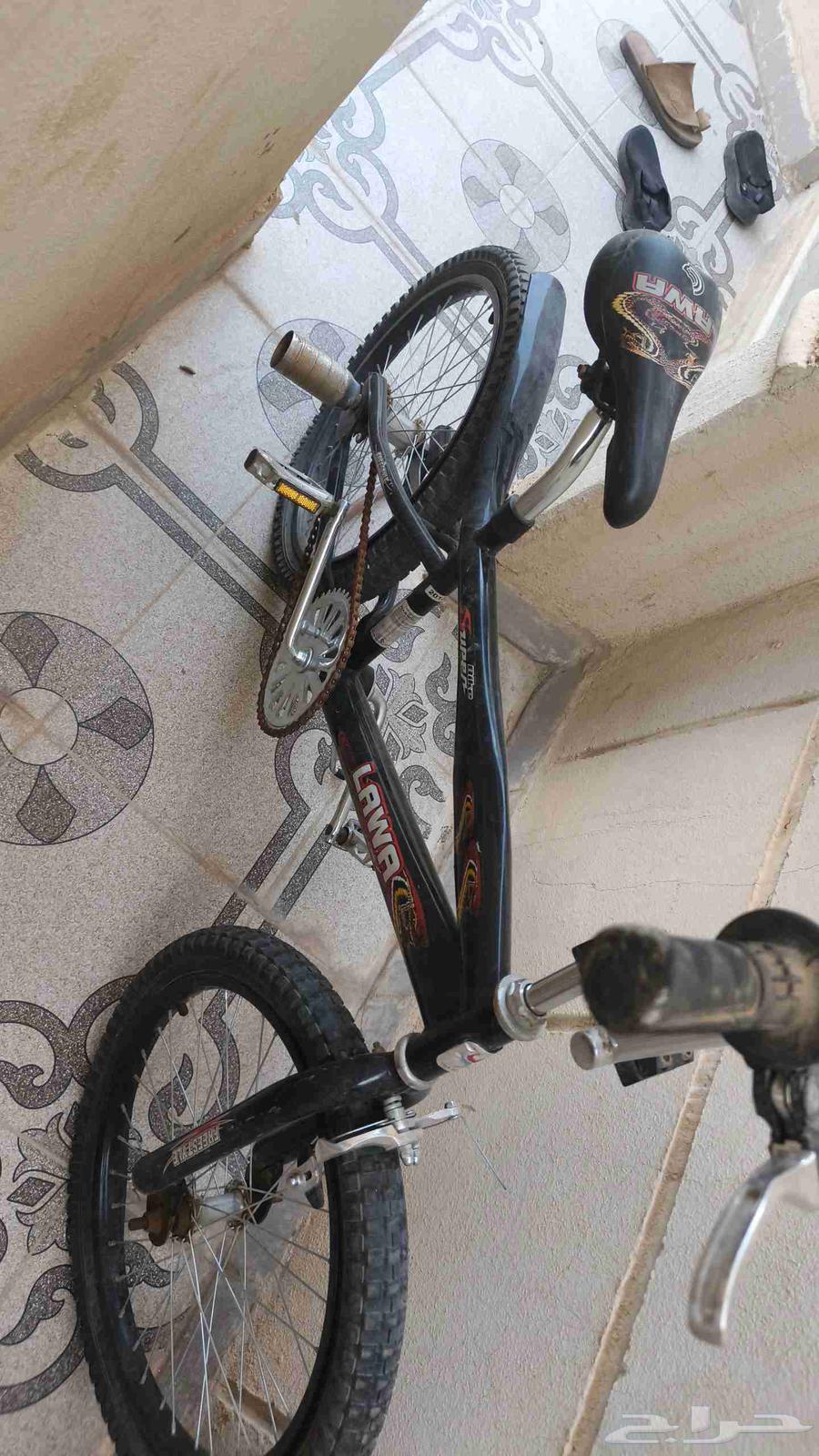 سيكل كوبرا للبيع64465772945411112