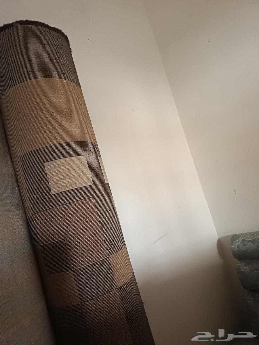 زوليتين تحتاج غسيل فقط64468982631809110