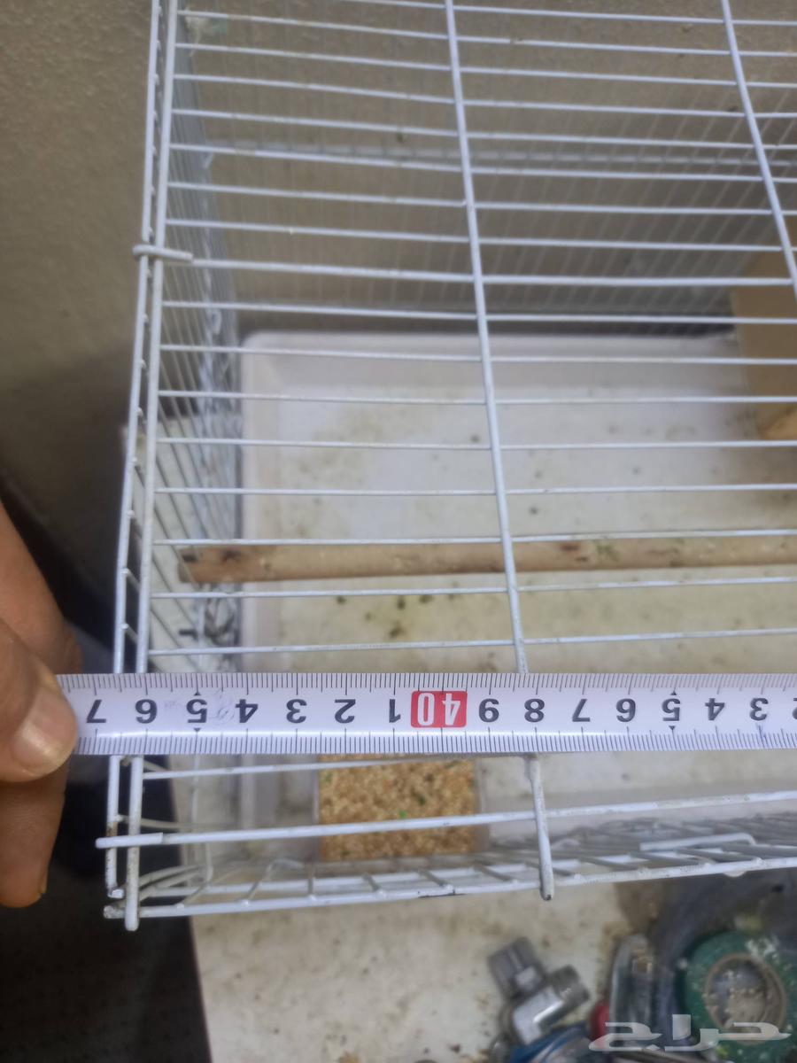 Bird net for 50 SR64469153614209110