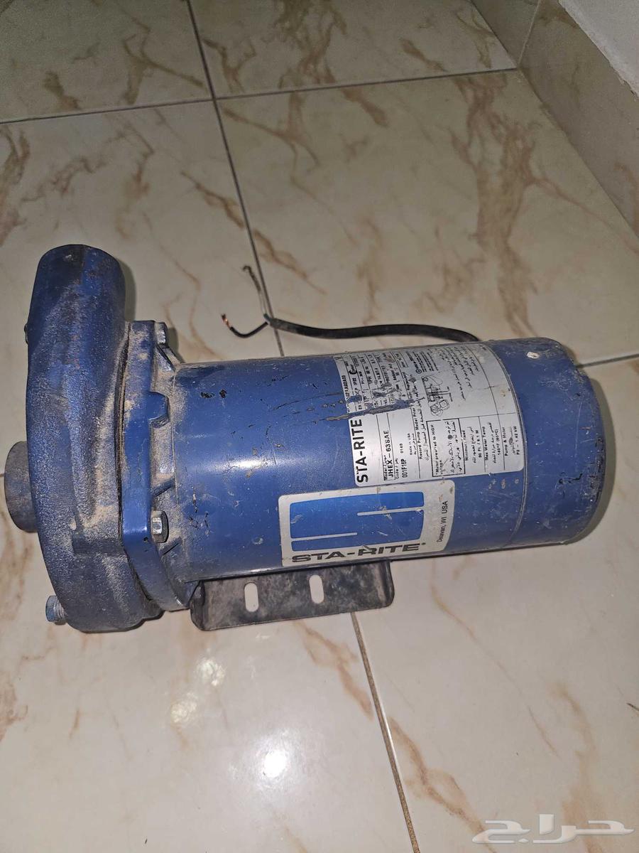 Semnan Dynamo Single Horse64469837164290112