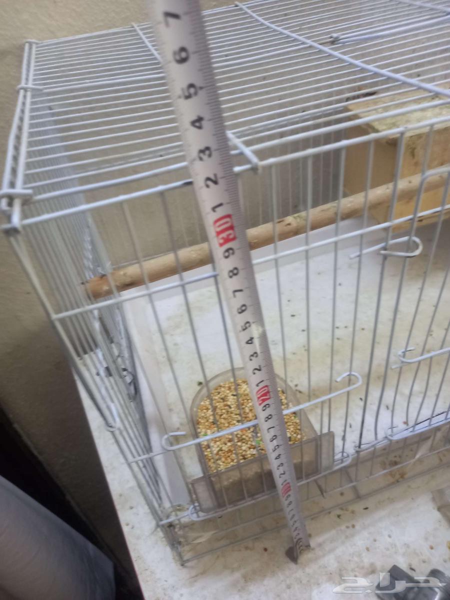 Bird net for 50 SR64469153614209111