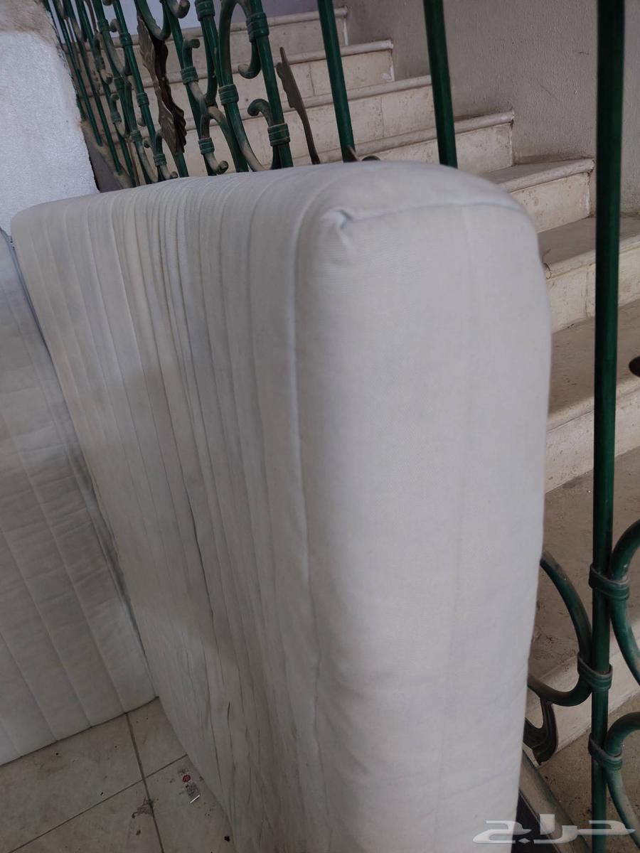 مرتبه ايكيا64459020258434112