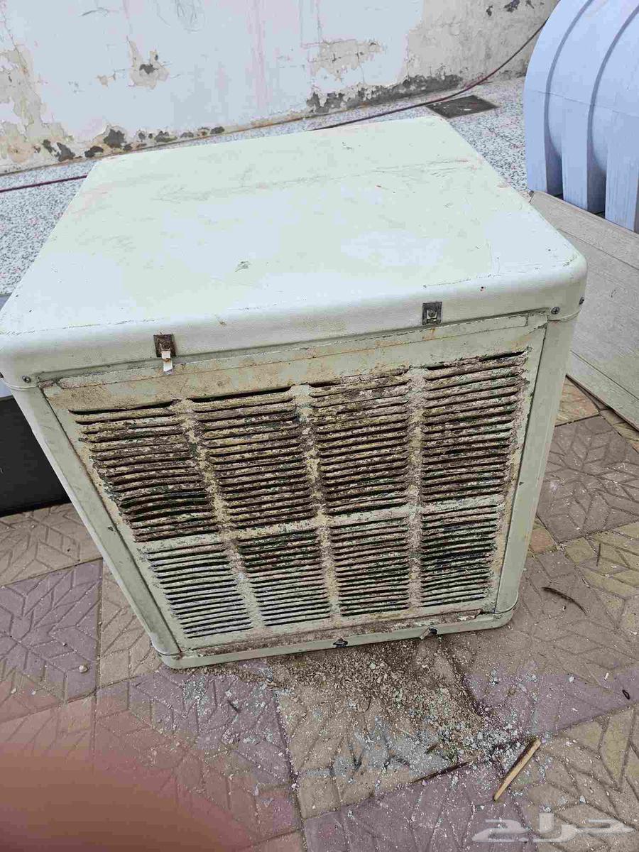 القصيم البكيريه64468552768515113