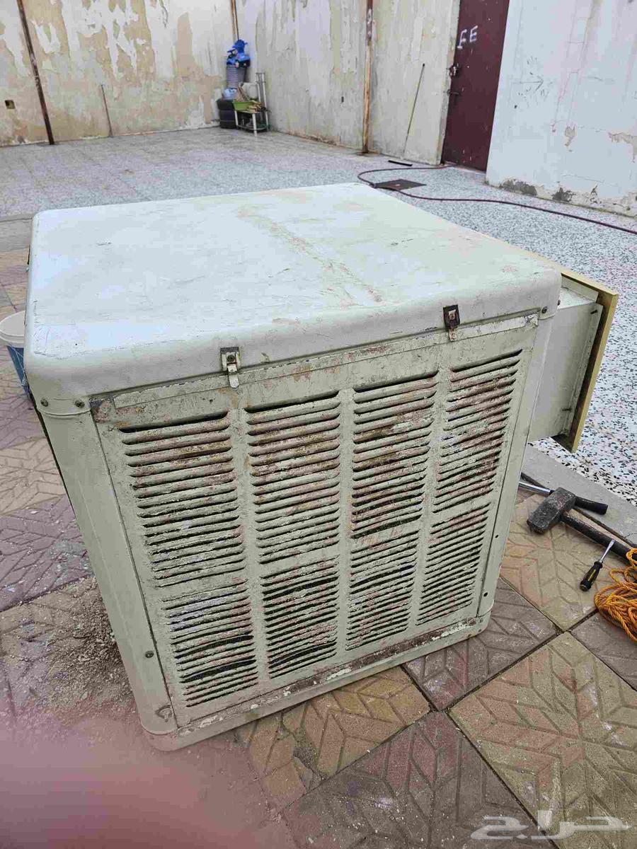 القصيم البكيريه64468552768515112