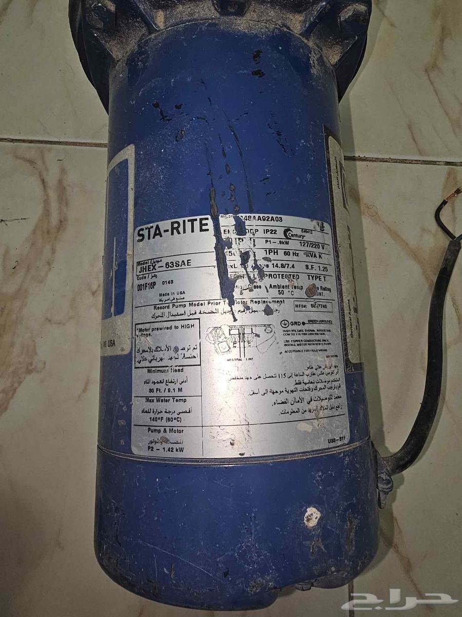 Semnan Dynamo Single Horse64469837164290111