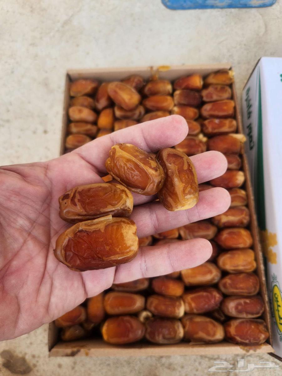 Saqi Dates64470648994179110