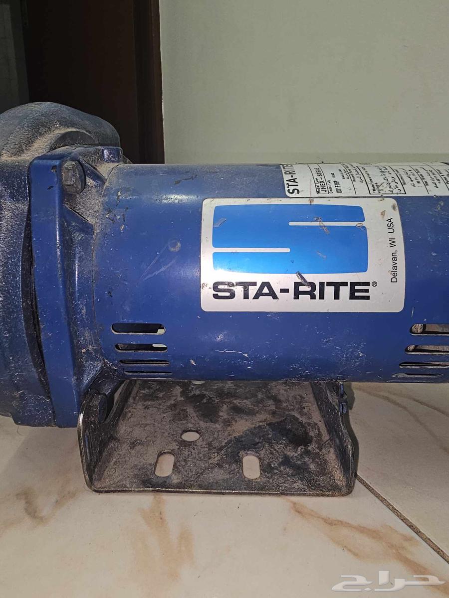 Semnan Dynamo Single Horse64469837164290110