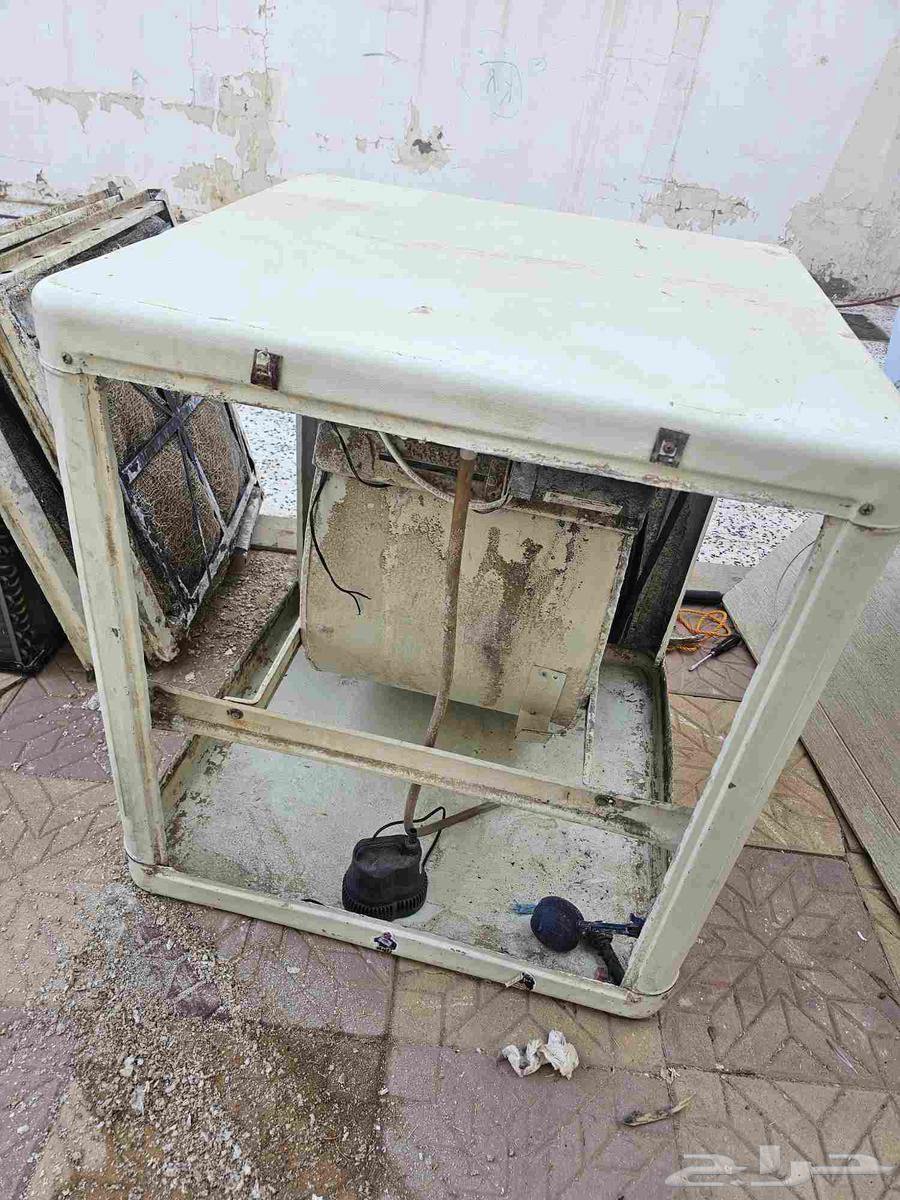 القصيم البكيريه64468552768515114