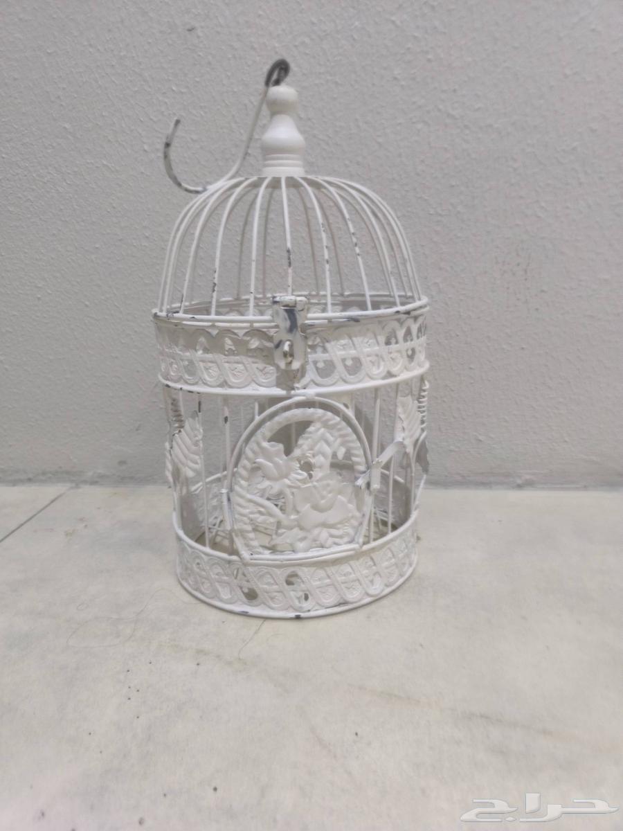 اقفاص اثات للبيع64469879262850110