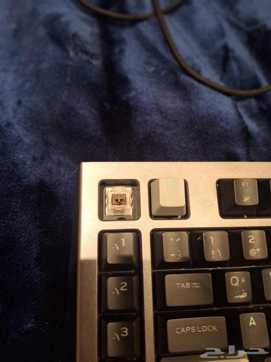 كيبورد اللين وير عربي انقليزي اكبر حجم سويتشات بنيه64471553932161114