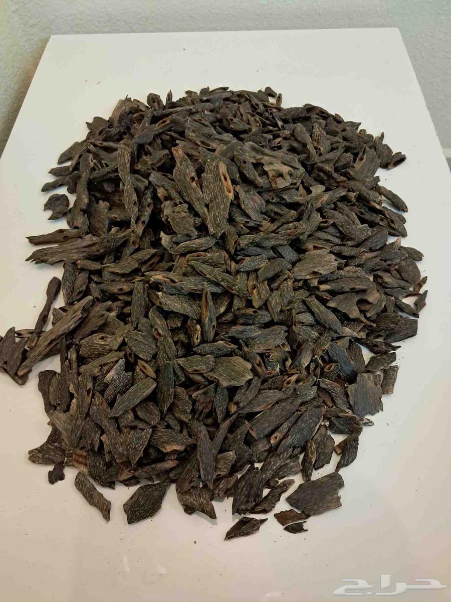 تم البيع عود بنقالي طبيعي 100 بيعر جملة الجملة64471389083522111