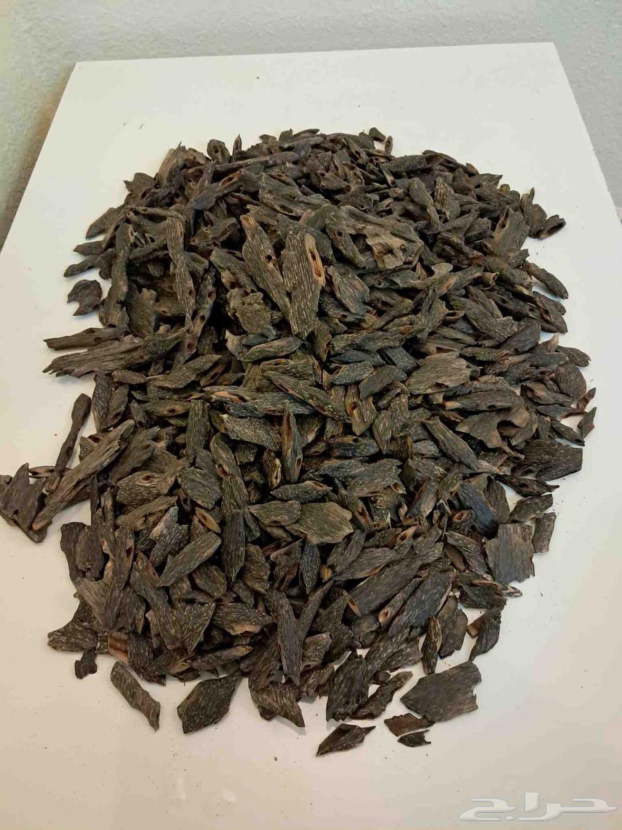 تم البيع عود بنقالي طبيعي 100 بيعر جملة الجملة64471389083522110