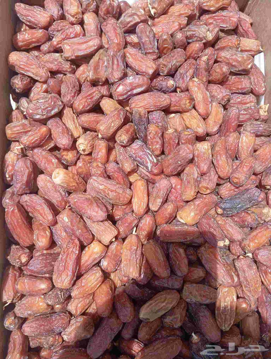 Safri Hilal dates 500 cartons of banana for making date paste, carton weight 2164466067202177110