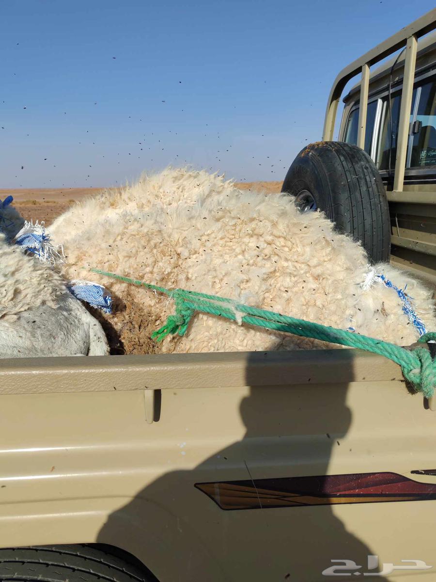 Chair stuffing64468357119874110