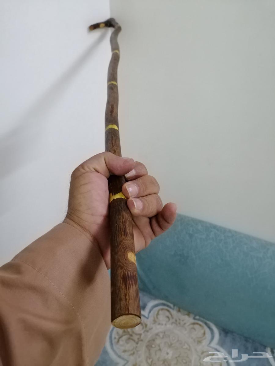 مشعاب عتم مميز للبيع64466975323649114