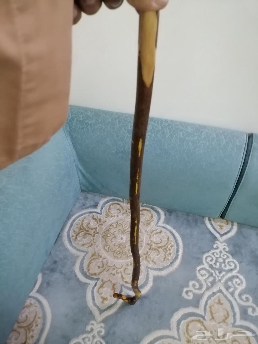 مشعاب عتم مميز للبيع64466975323649111