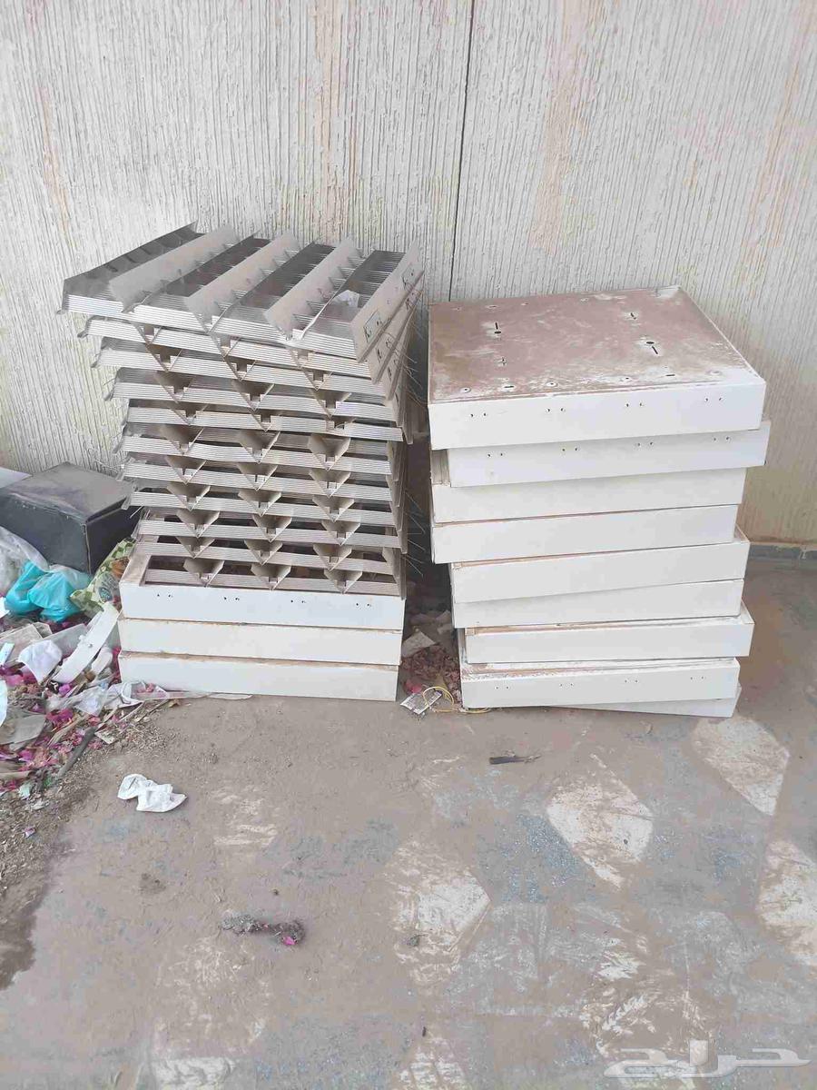 لنبات للبيع64469515966595110