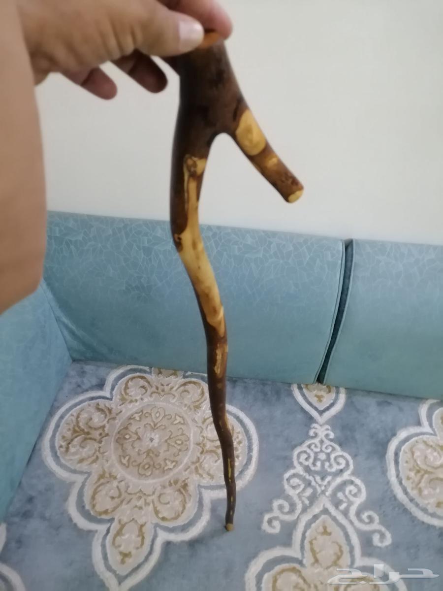 مشعاب عتم مميز للبيع64466975323649110