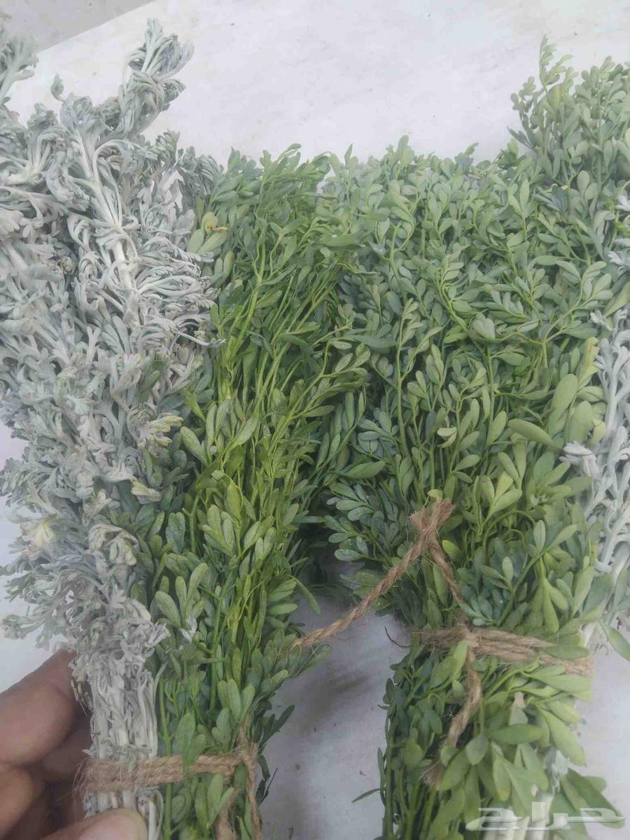 Gizani Marikh with conditional sale available in Al-Burak and Shuthayb, delivery available64467830379265112