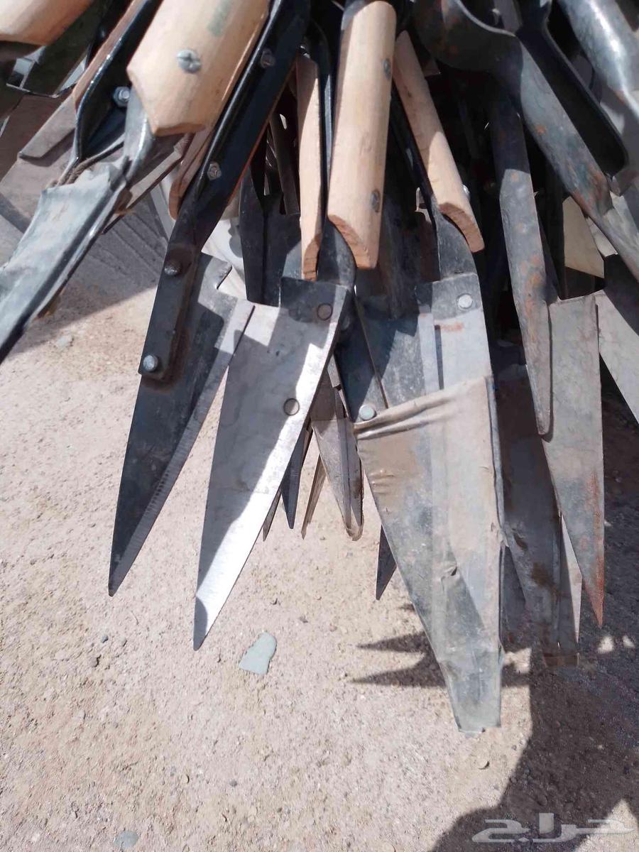 Sheep shearing scissors for sale64466488411266110