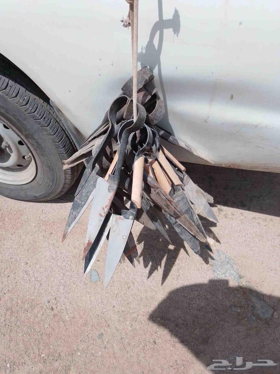 Sheep shearing scissors for sale64466488411266111