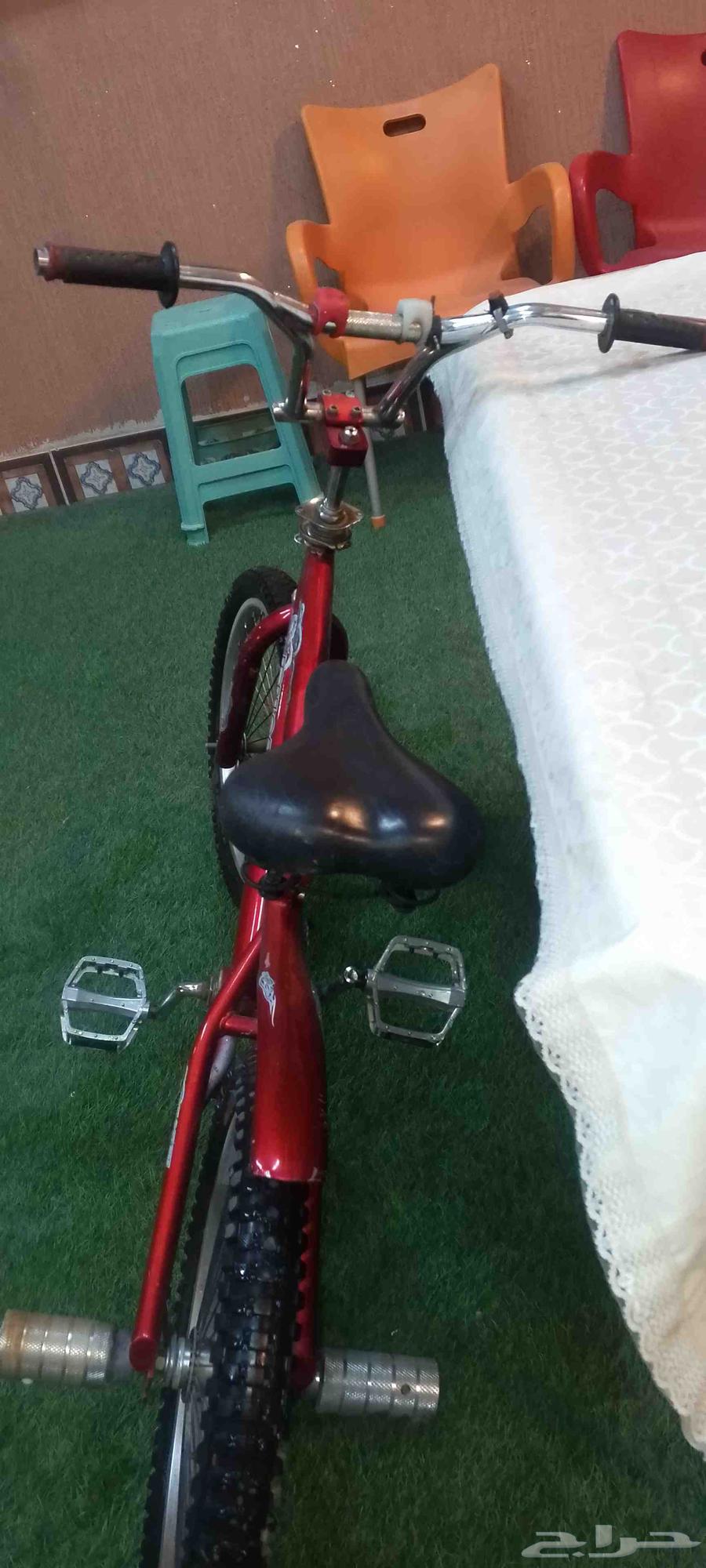 Cobra size 2064470128099329111