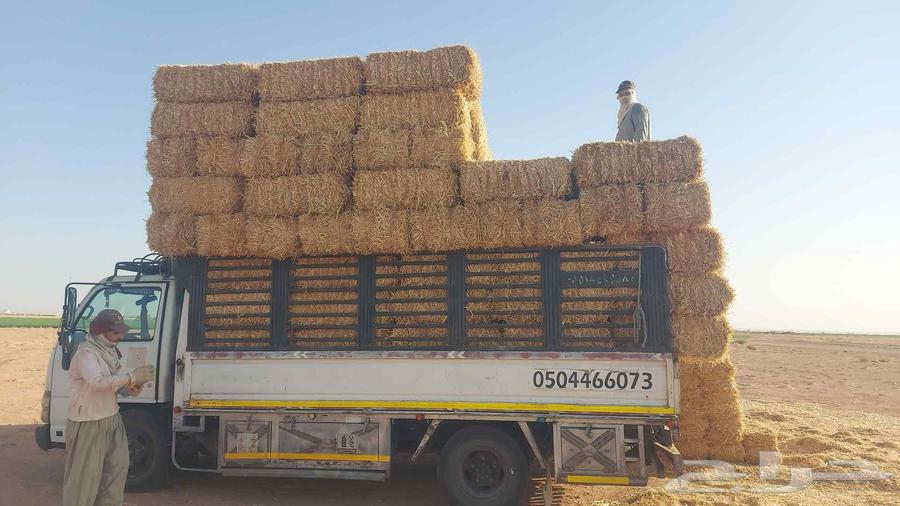 I became distinguished with the available tip64470897158273110