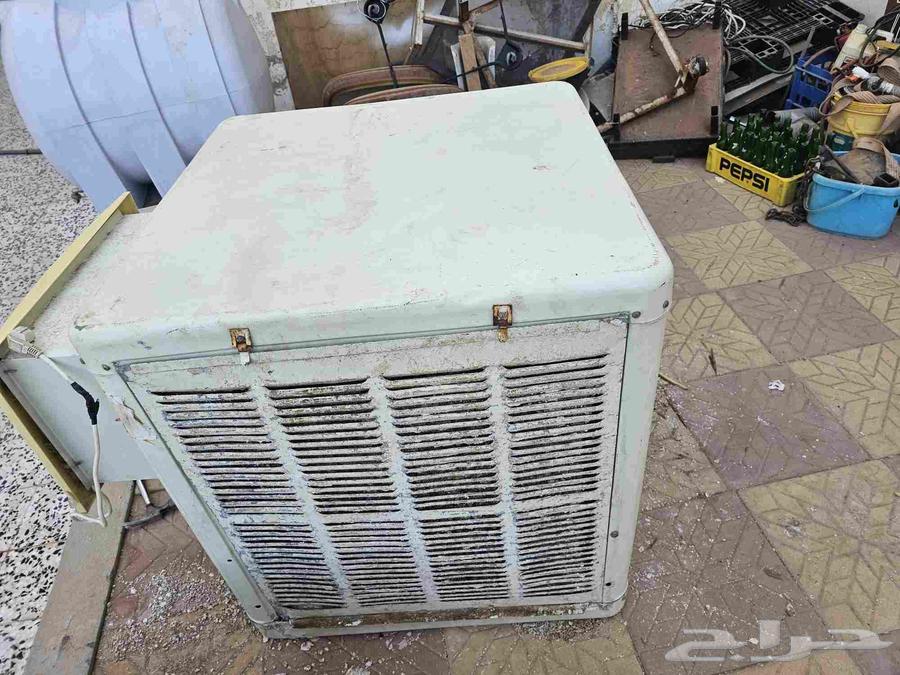 القصيم البكيريه64468552768515111