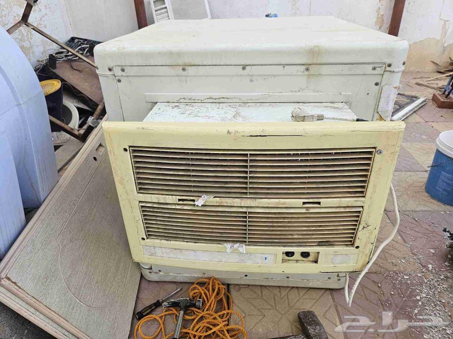 القصيم البكيريه64468552768515110