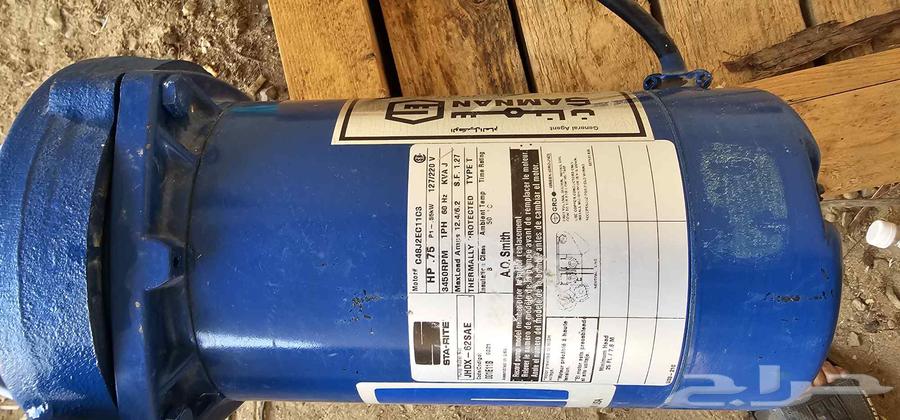 Semnan Dynamo64465437417090112