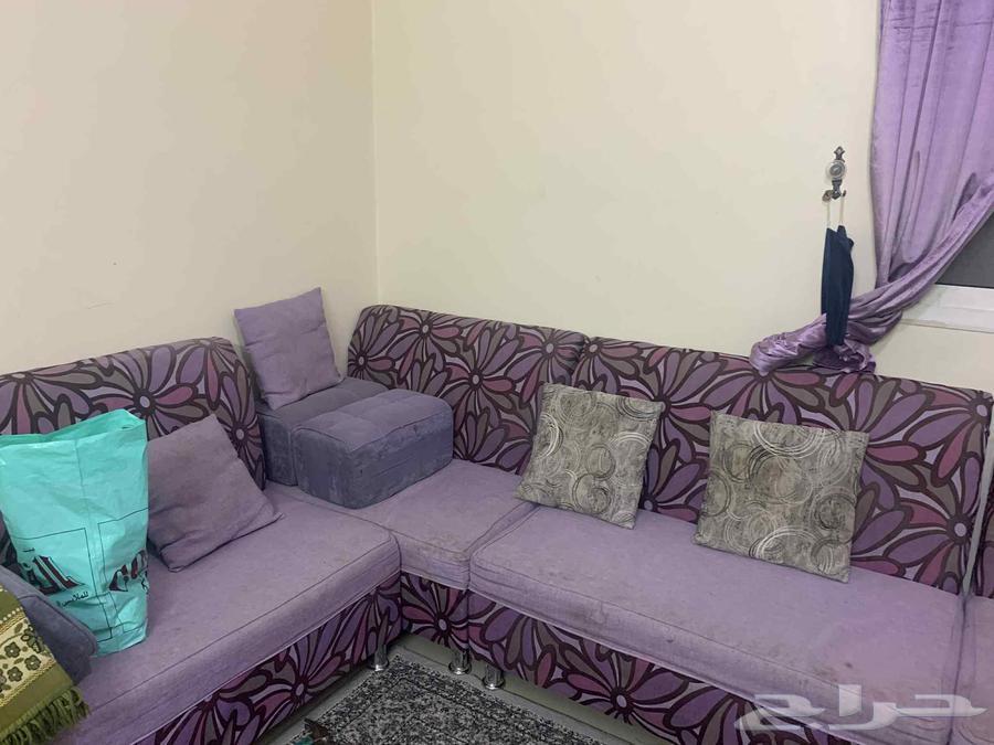 Sofa64469683421955113