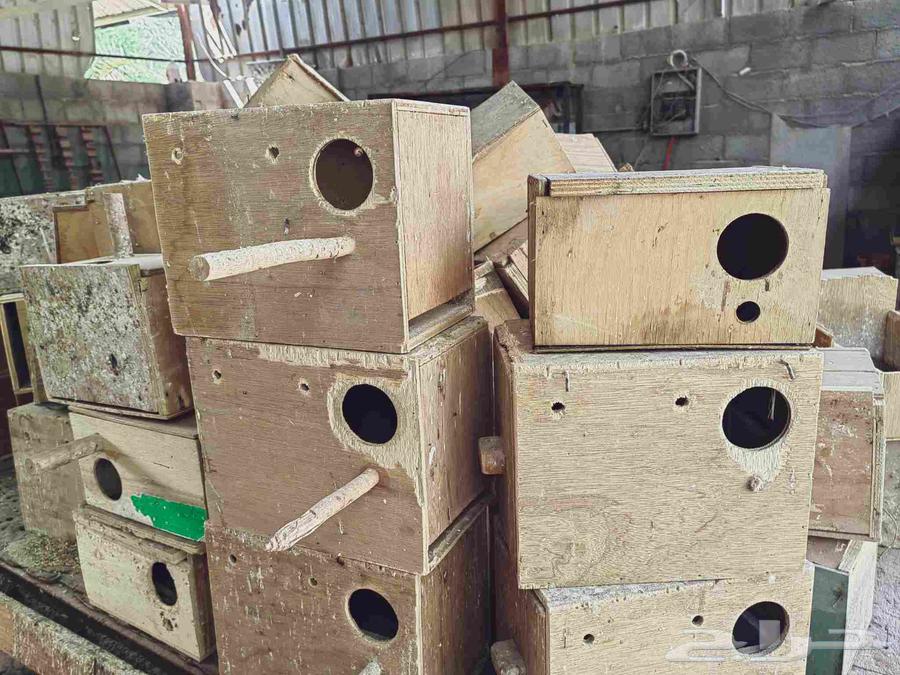 بياضات مستخدمه للباجي لروز للكروان 50 بياضه على السوم64466095153281110