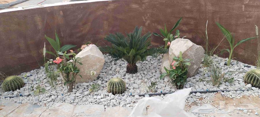 فني حدائق ومنتزهات صيانه وزراعه الاشجار توصيل شبكات ري64145519842689110