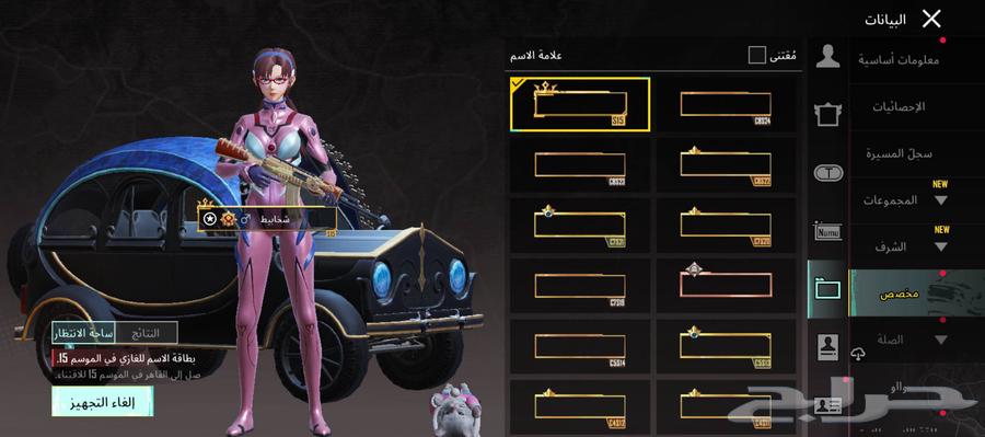 حساب ببجي للبيع64470869762817111