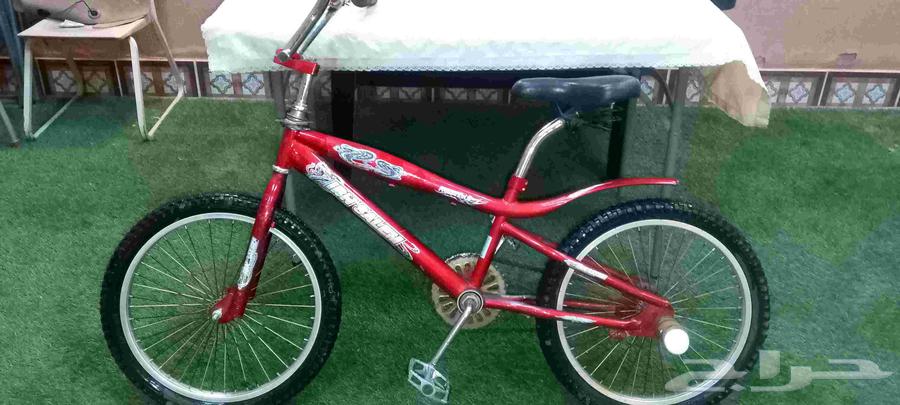 Cobra size 2064470128099329110