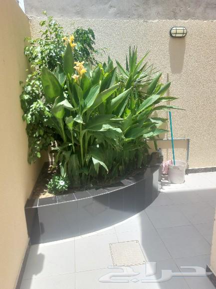 Garden Design64534873033603114