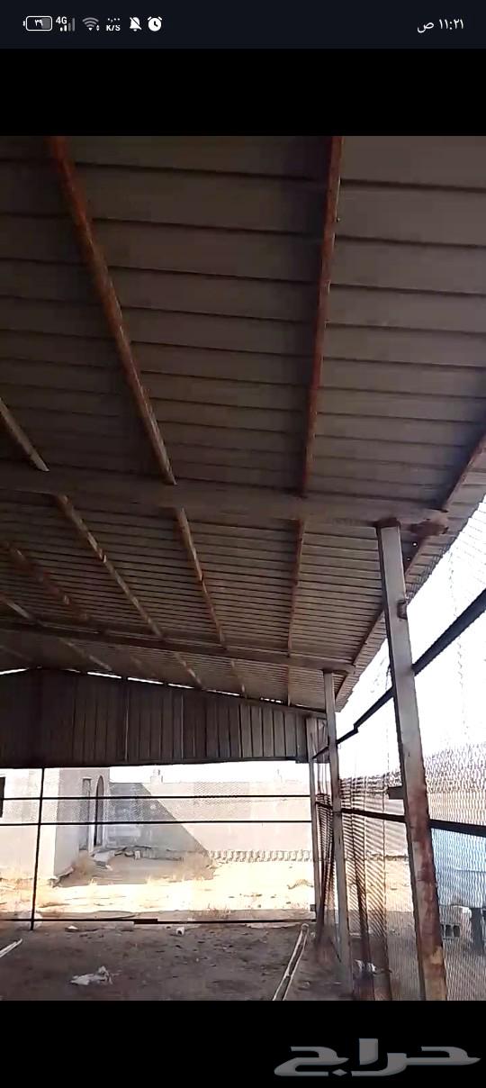 هنقر بحالة ممتازة وخزان نص طن سليم64465549481859110