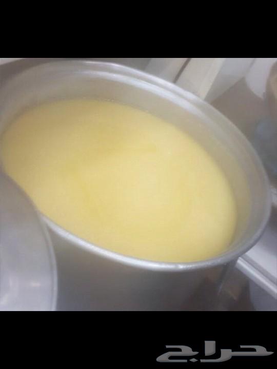 سمن بري غنم ودخن بيضان للبيع64469711655810110