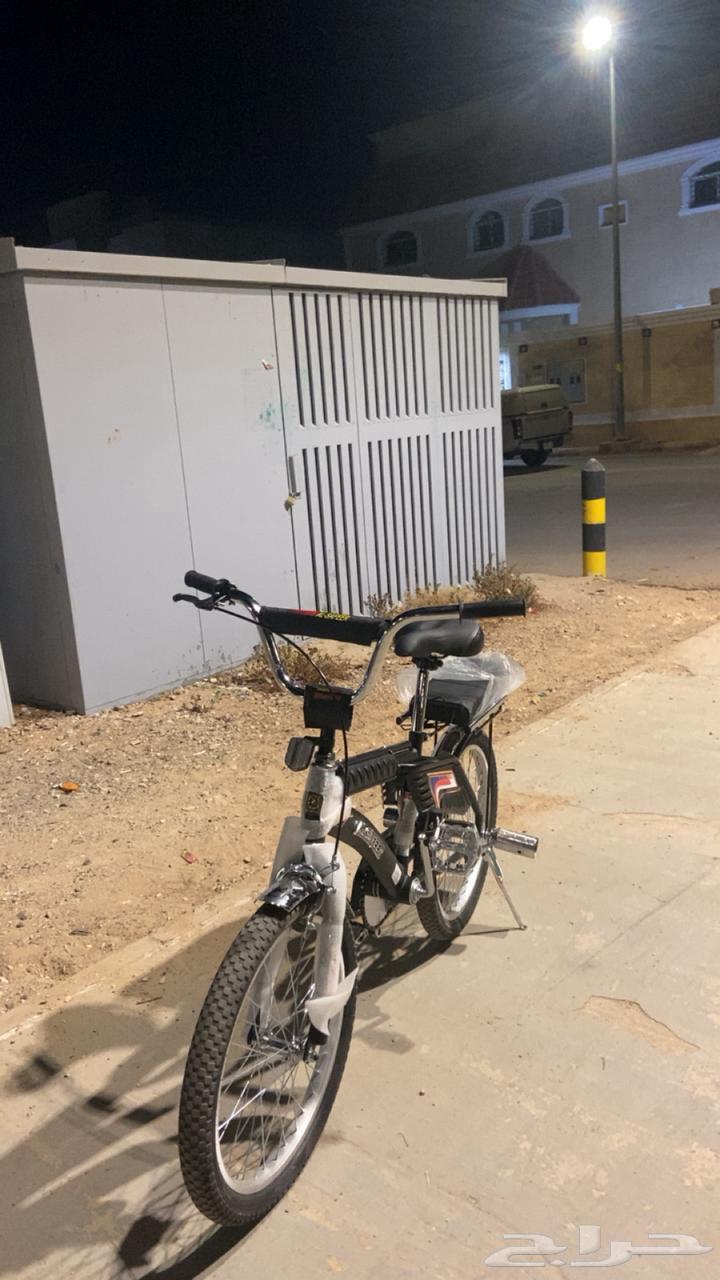 سيكل رامبو مقاس 2064469098730498112