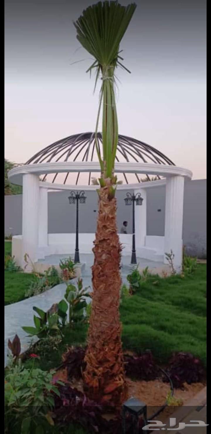 عندنا نحن واشنطني للبيع بسعر المناسب شامل للتوصيل64470662844801112